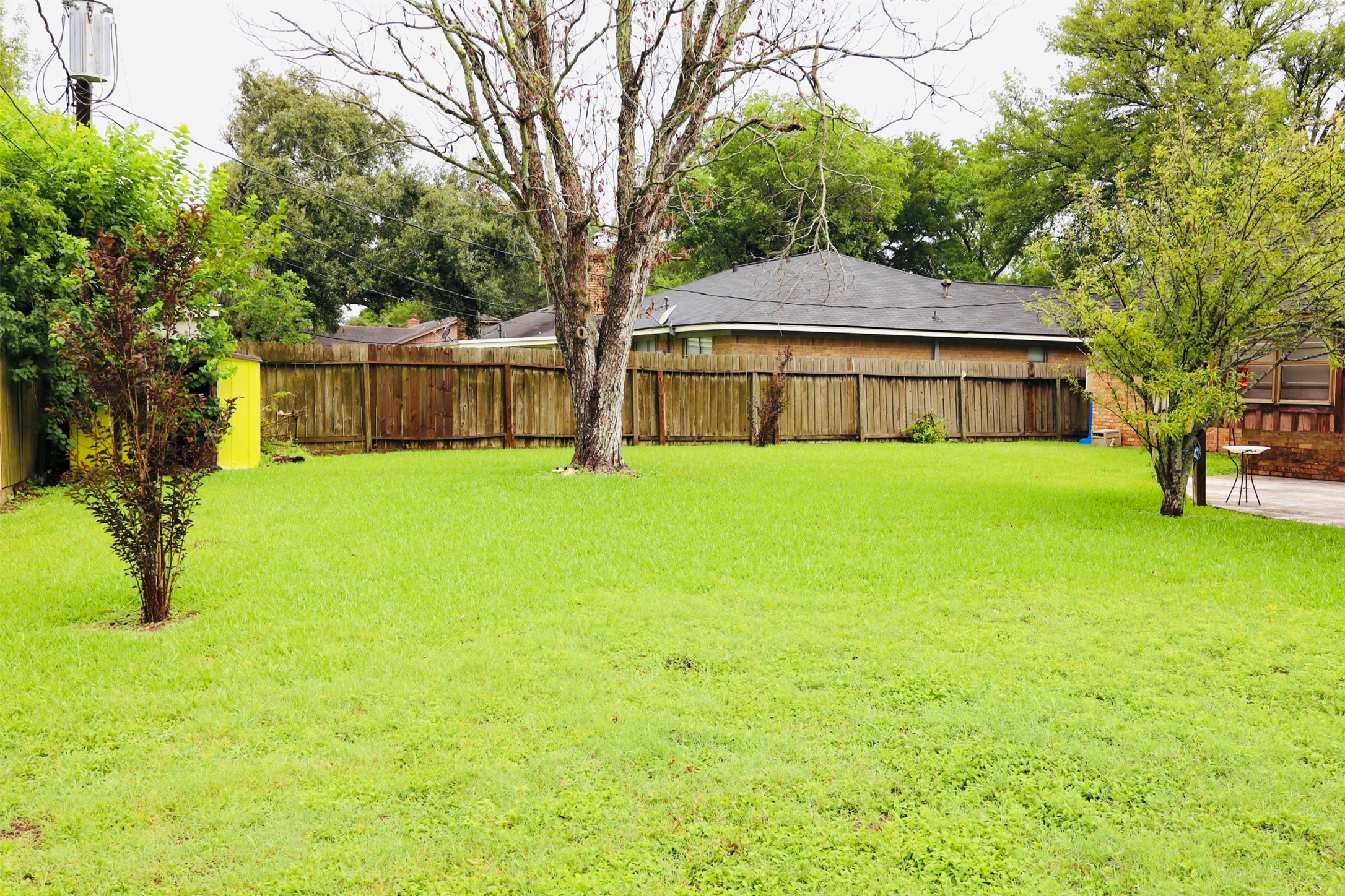 1108 Easy Street Rosenberg, TX 77471 - Photo 23 of 28 a view of a house with a yard and large trees