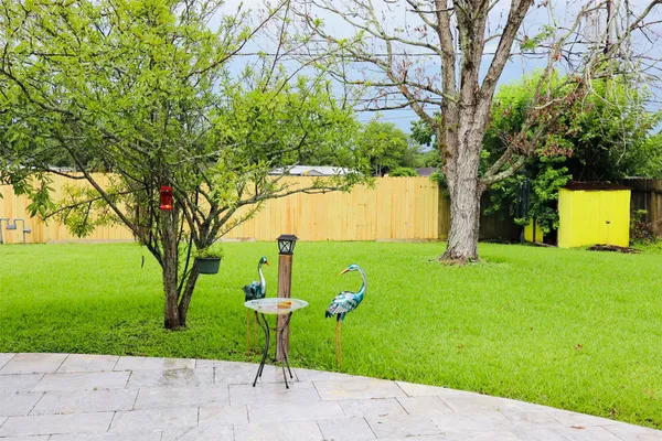 a view of a garden with a tree
