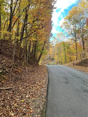 a view of a yard with plants and trees