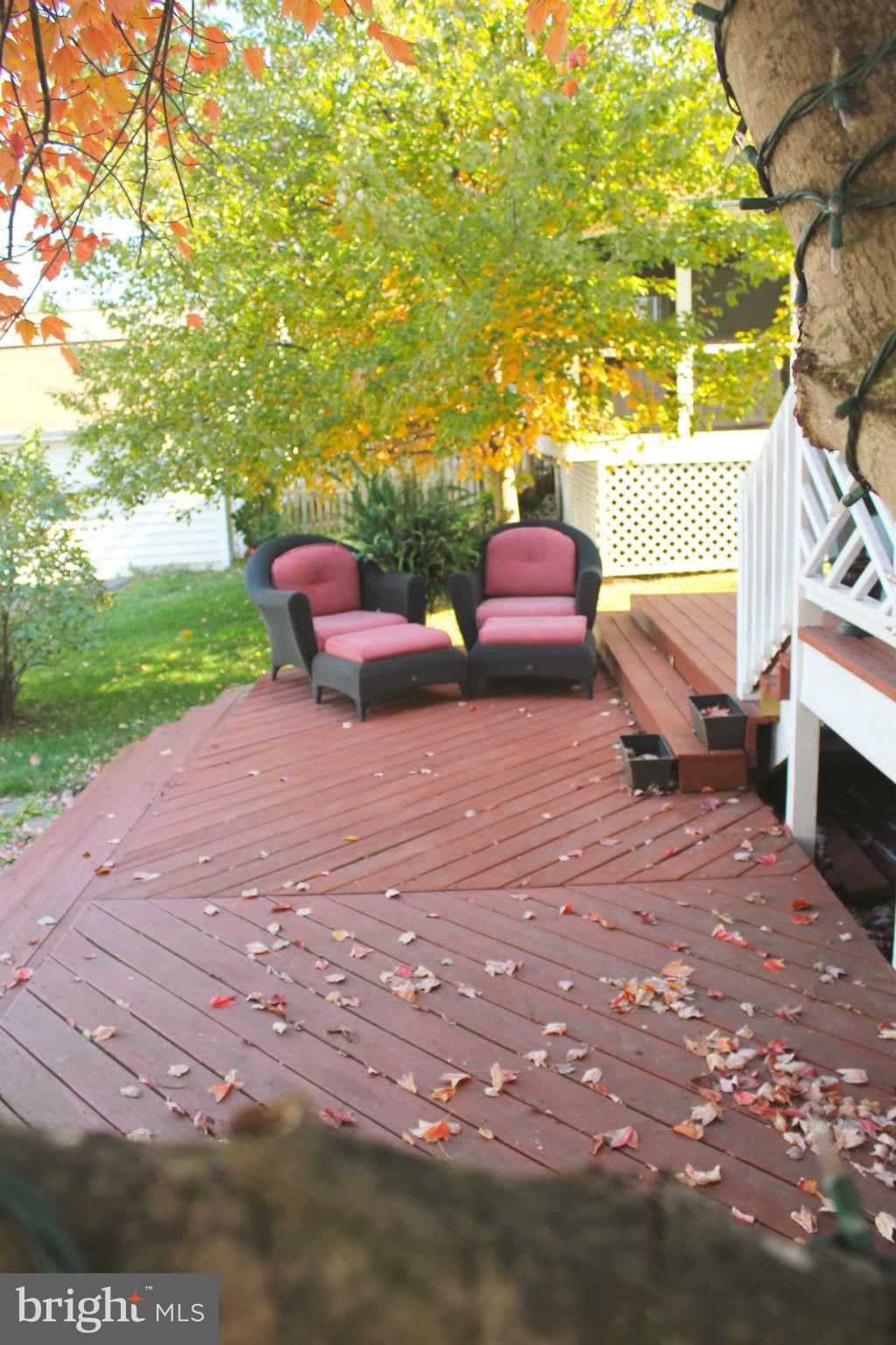 43396 Edgewater Street Chantilly, VA 20152 - Photo 16 of 16 a view of a backyard with furniture and garden