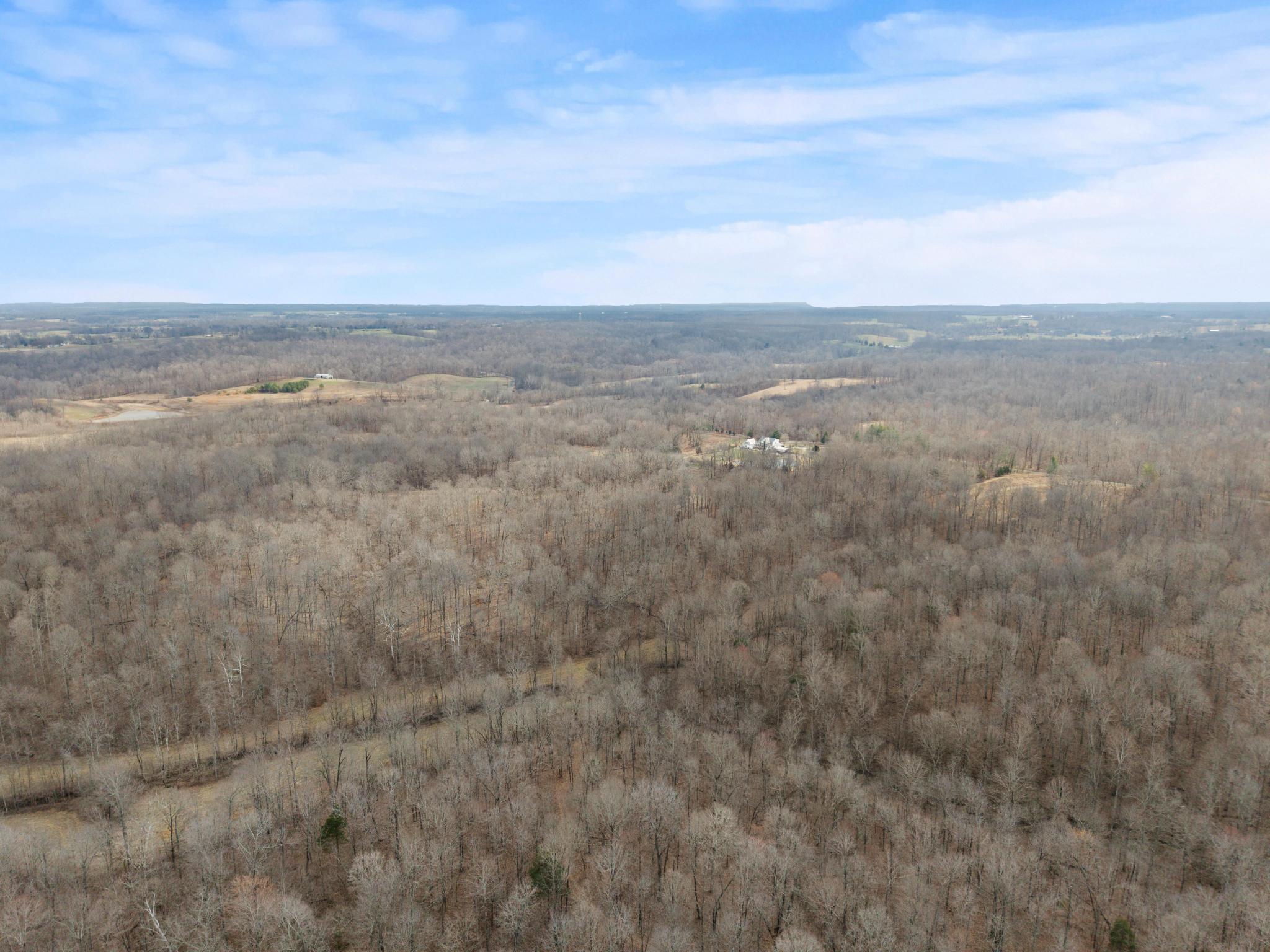 74.19 L Bill Thompson Road Kuttawa, KY 42055 - Photo 6 of 7 DJI_20260304115150_0024_D