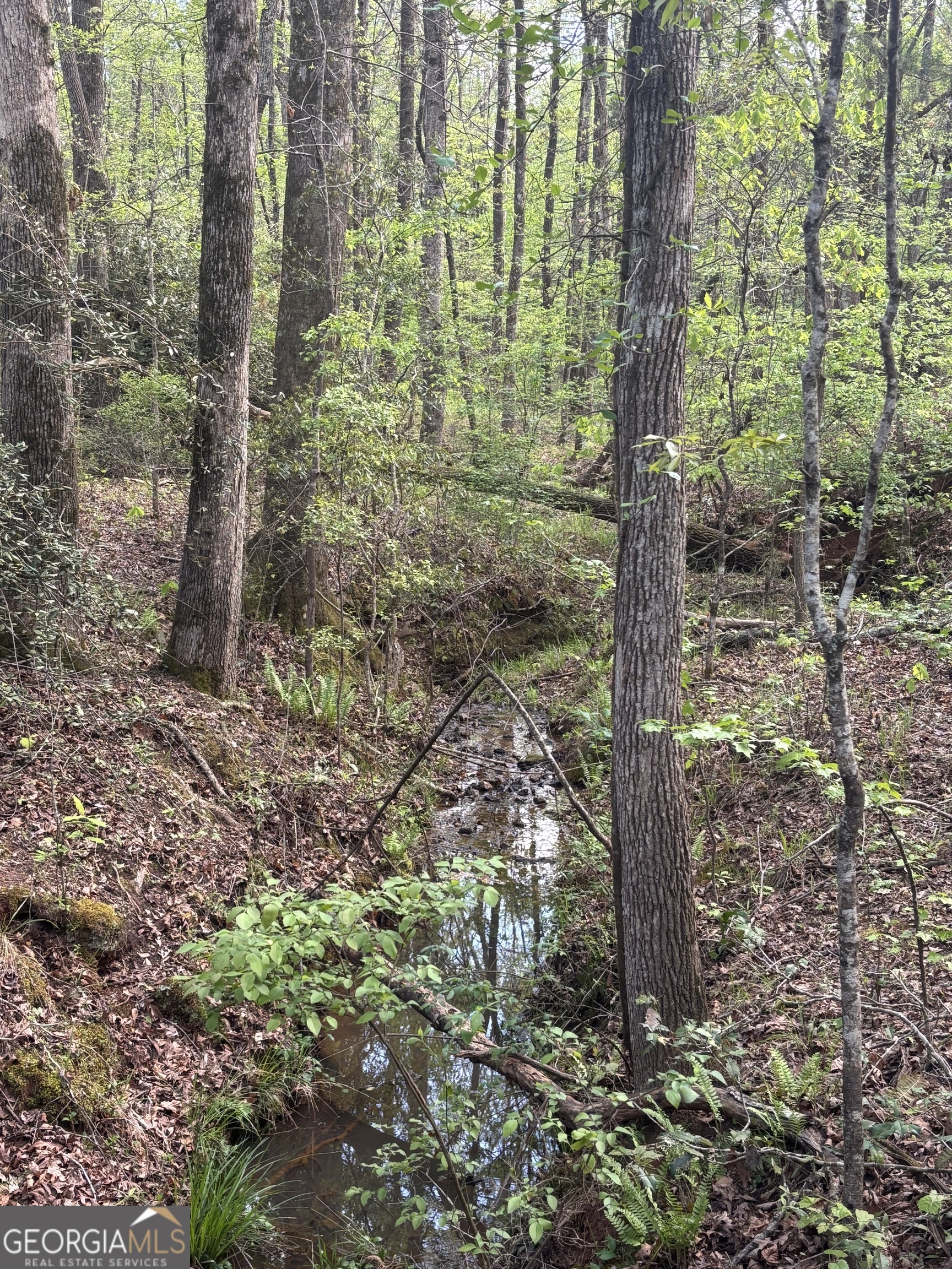 0 Valley Rescue Mission Road, Unit 202 Hamilton, GA 31811 - Photo 11 of 13