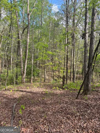 $55,000 | 0 Valley Rescue Mission Road, Unit 202, Hamilton, GA 31811