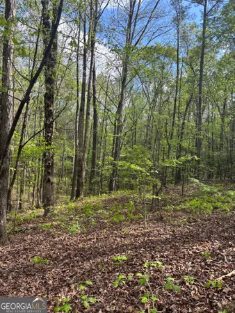 $55,000 | 0 Valley Rescue Mission Road, Unit 202, Hamilton, GA 31811