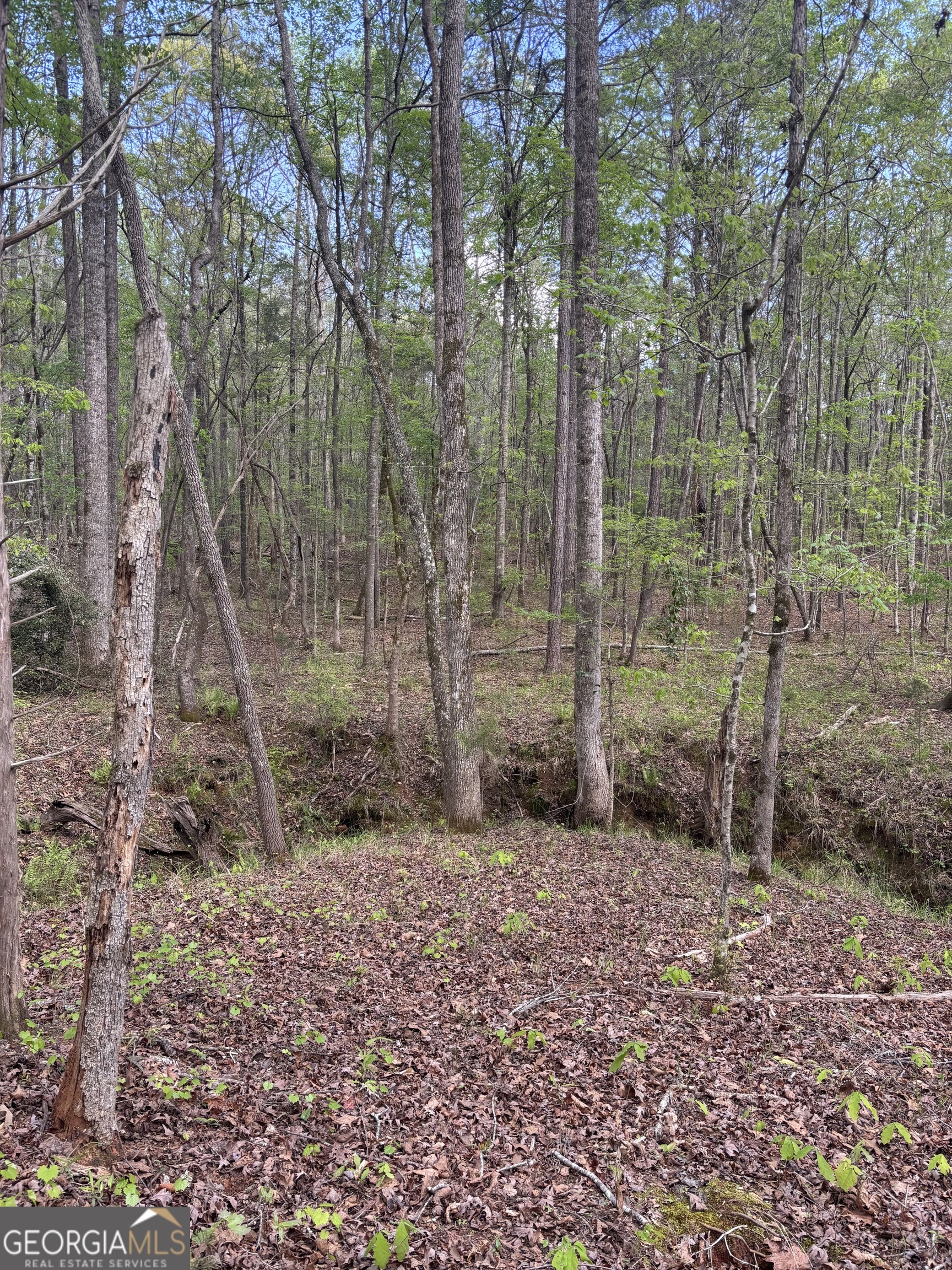 0 Valley Rescue Mission Road, Unit 202 Hamilton, GA 31811 - Photo 6 of 13