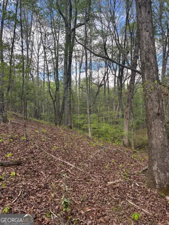 $55,000 | 0 Valley Rescue Mission Road, Unit 202, Hamilton, GA 31811