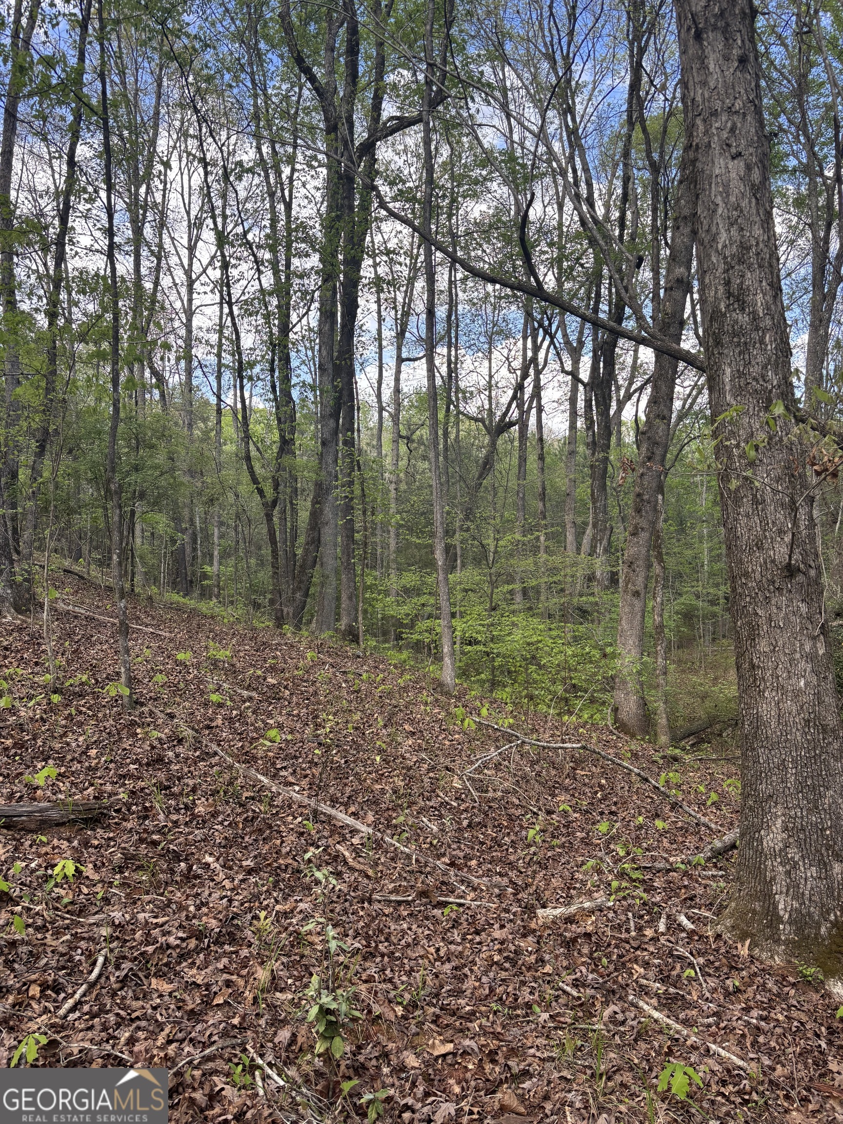 0 Valley Rescue Mission Road, Unit 202 Hamilton, GA 31811 - Photo 7 of 13