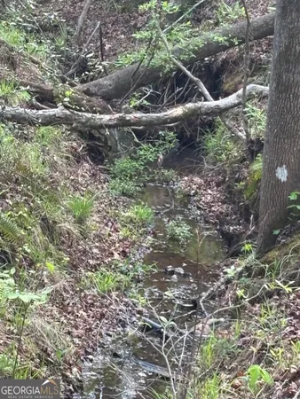 $55,000 | 0 Valley Rescue Mission Road, Unit 202, Hamilton, GA 31811