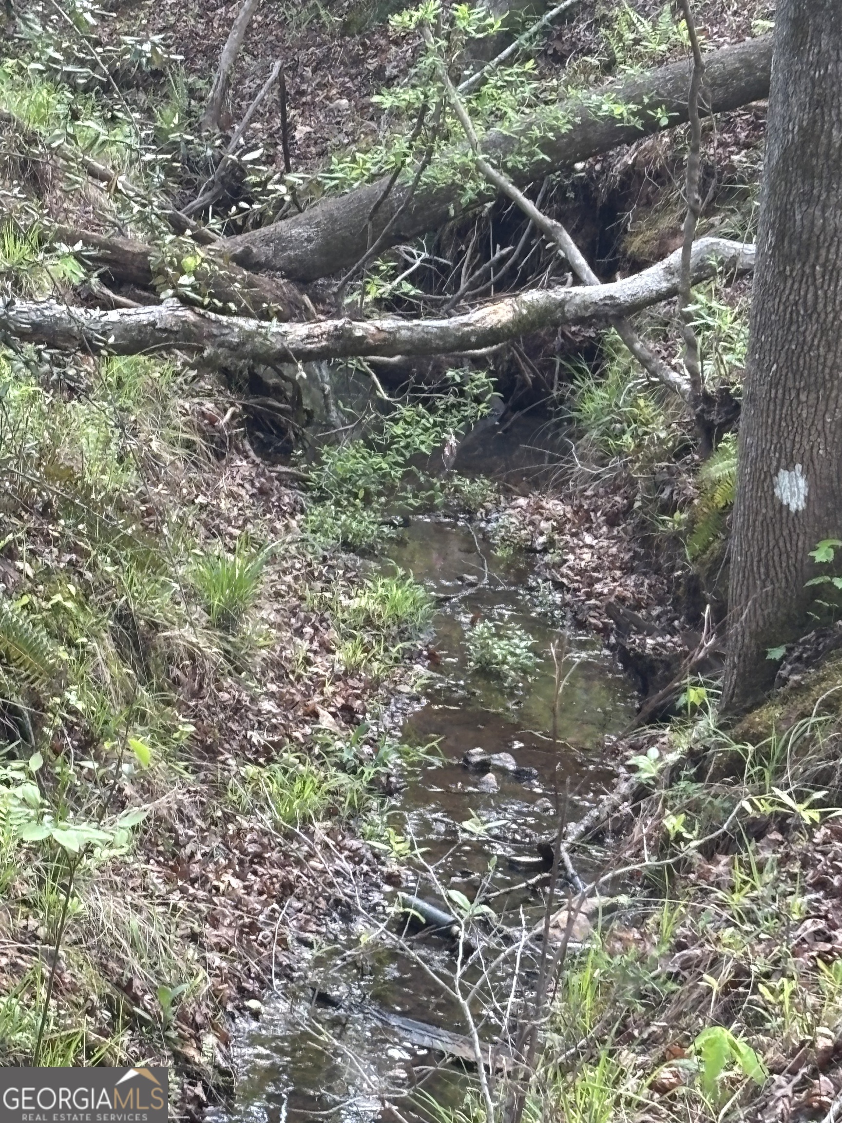 0 Valley Rescue Mission Road, Unit 202 Hamilton, GA 31811 - Photo 8 of 13