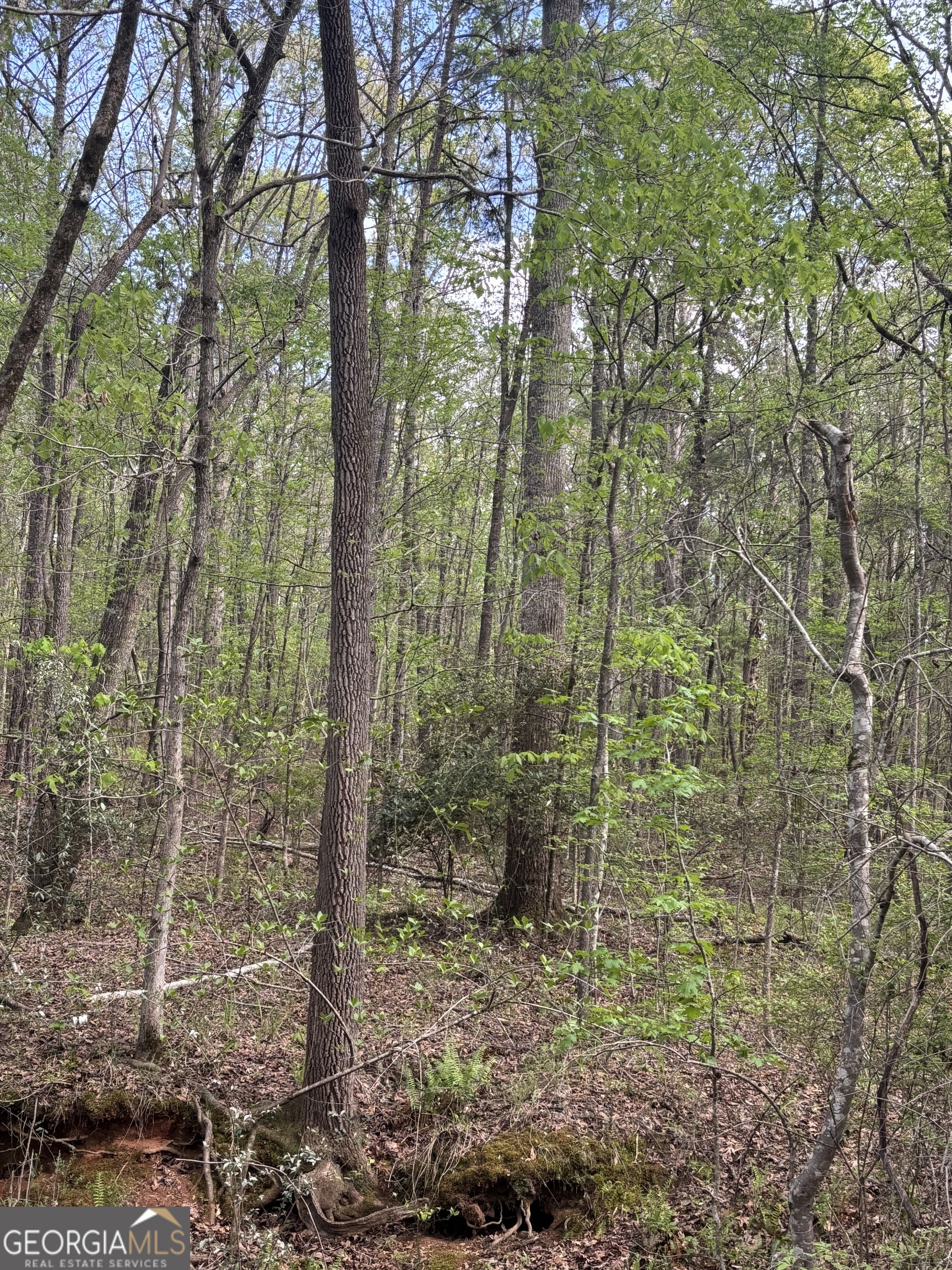 0 Valley Rescue Mission Road, Unit 202 Hamilton, GA 31811 - Photo 9 of 13