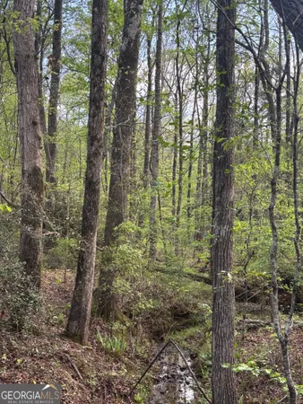 $55,000 | 0 Valley Rescue Mission Road, Unit 202, Hamilton, GA 31811