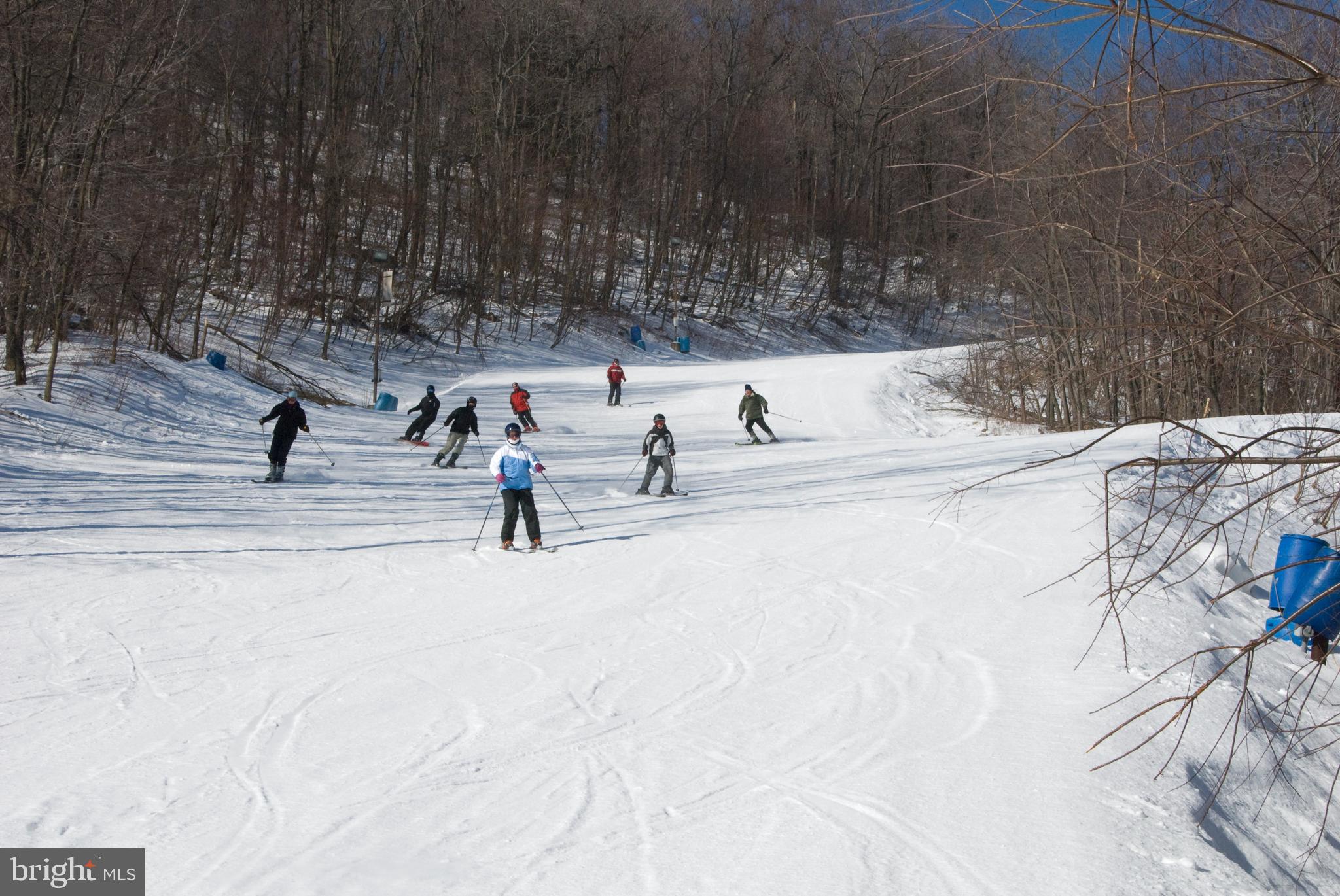 79 Marsh Hill Road, Unit 5 McHenry, MD 21541 - Photo 36 of 48 Skiing at Wisp