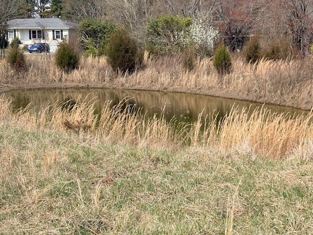 0 Tankersley Ridge Road Tullahoma, TN 37388 - Photo 7 of 7