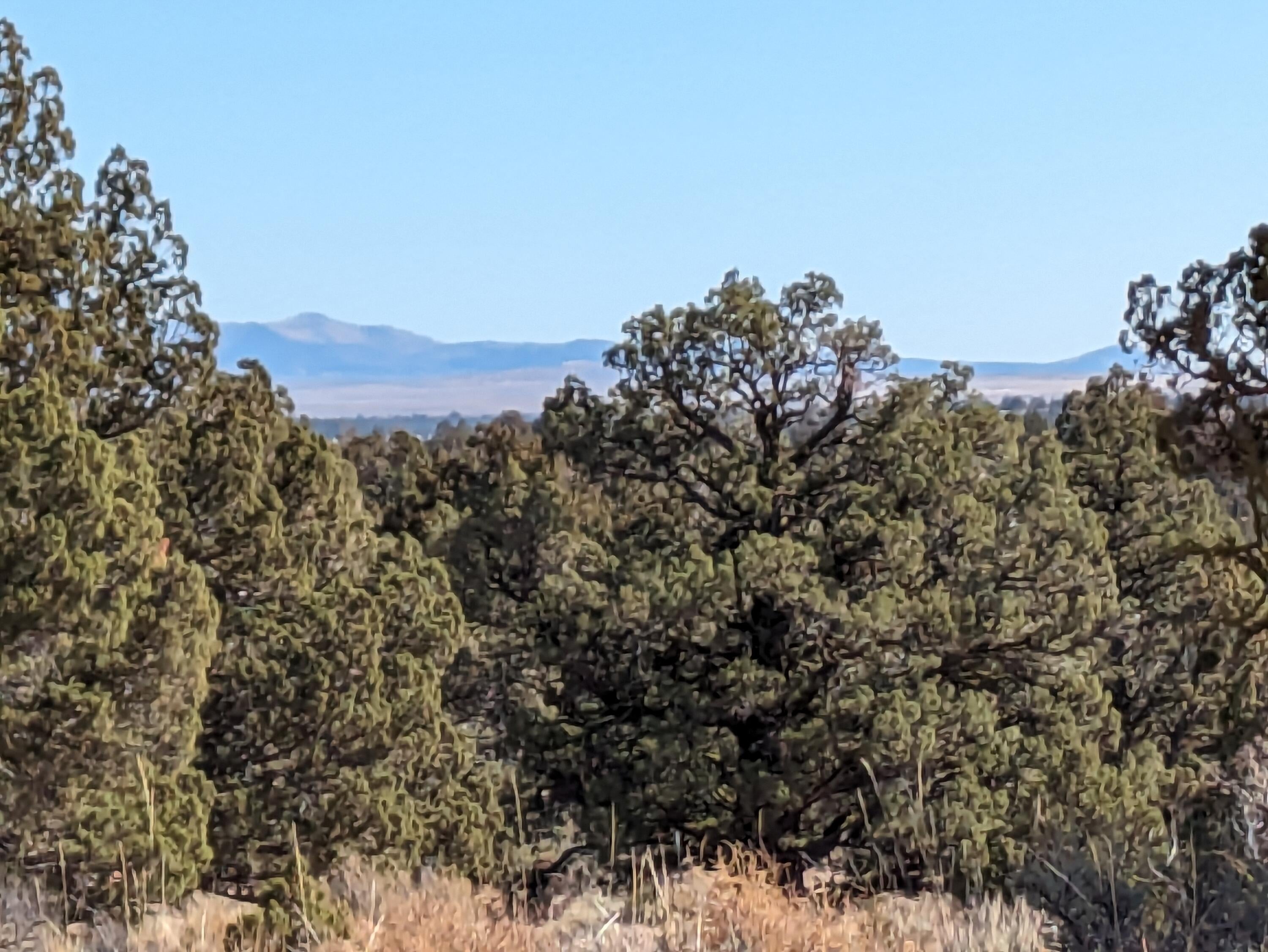 Goldenview Ranch Bend, Unit 200 Bend, OR 97701 - Photo 10 of 20 view looking east