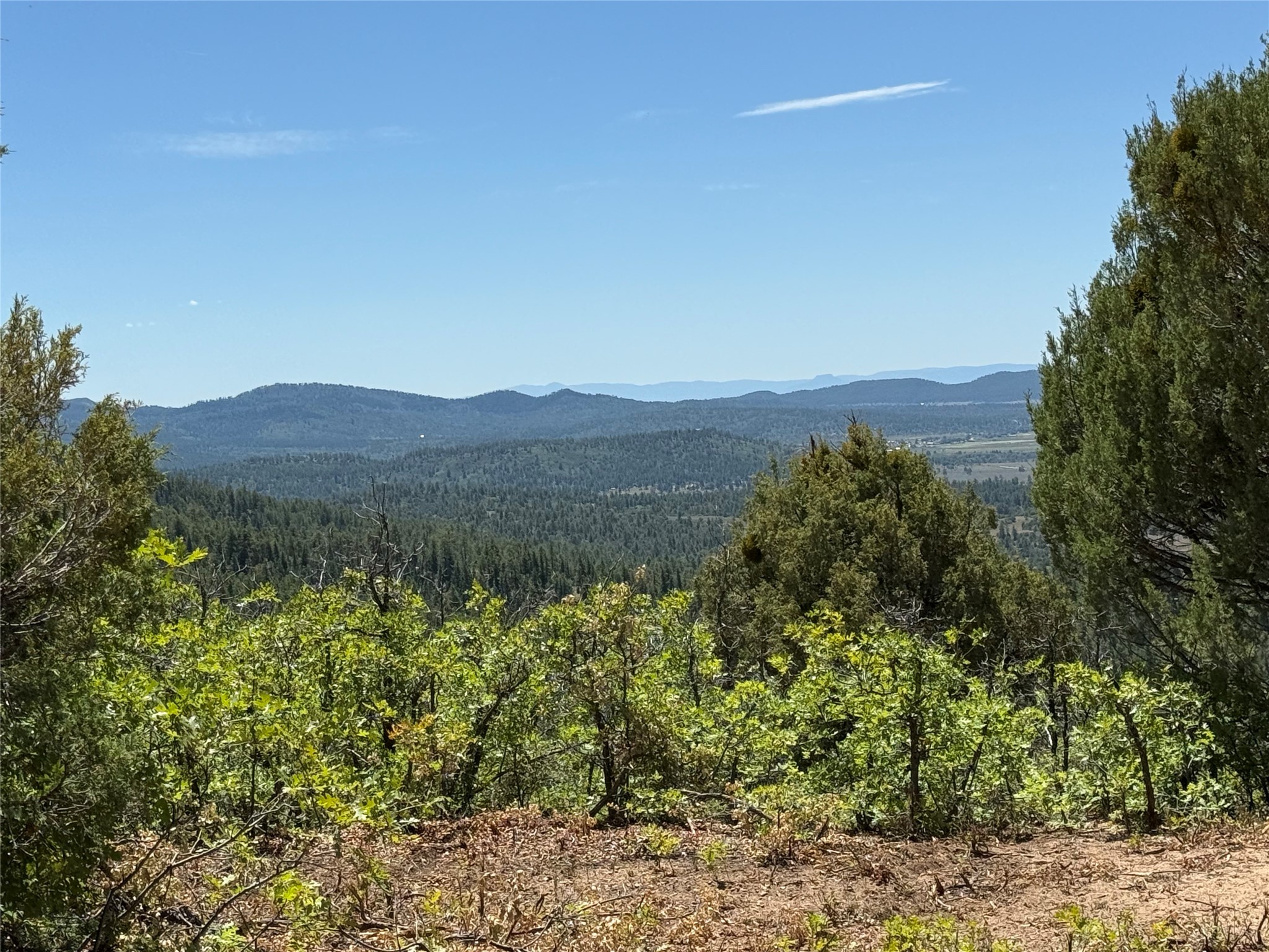 381 Buckman Road Chama, NM 87520 - Photo 13 of 23