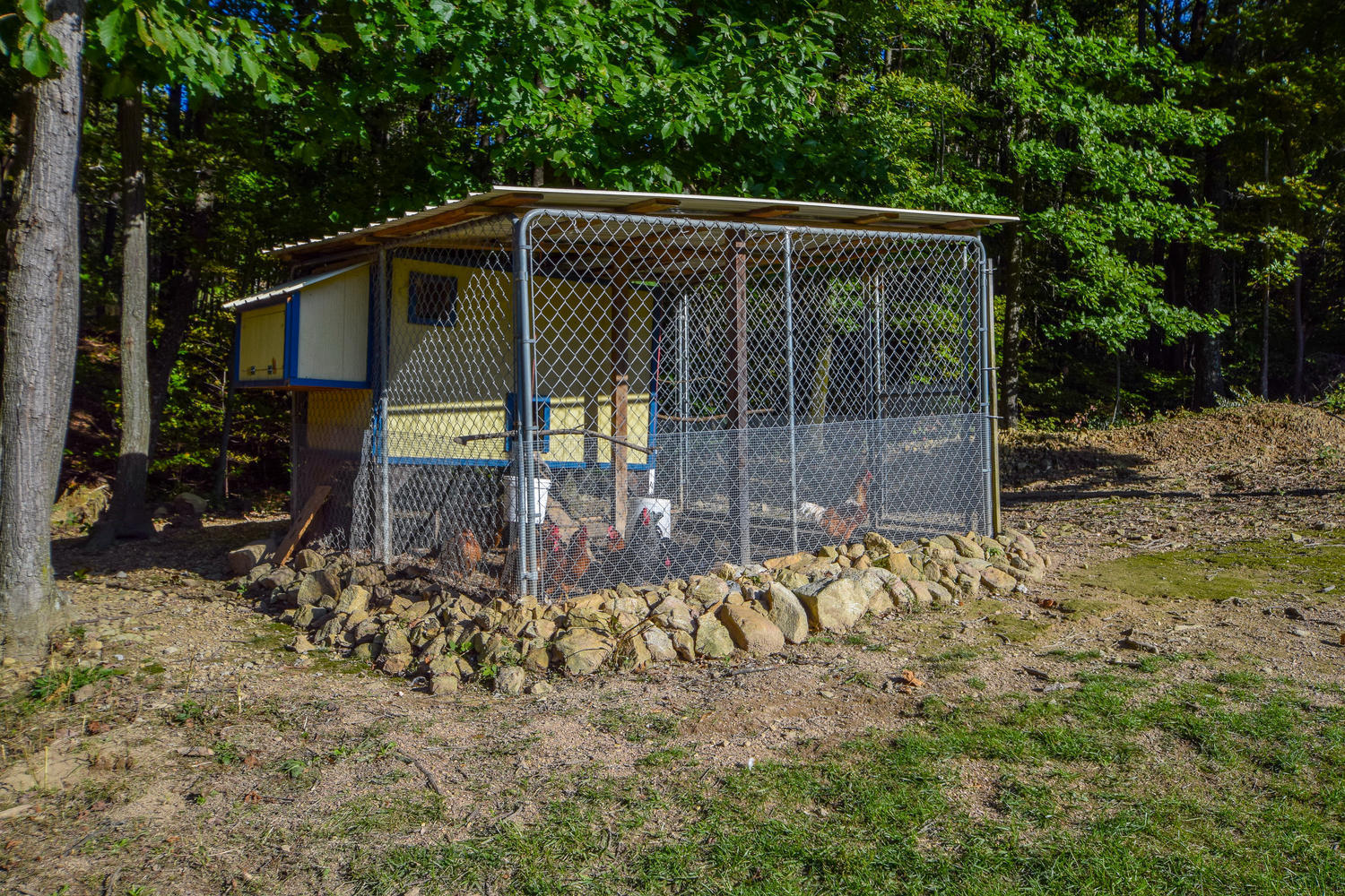 213 W Road Blue Ridge, VA 24064 - Photo 36 of 51 a view of backyard with wooden fence