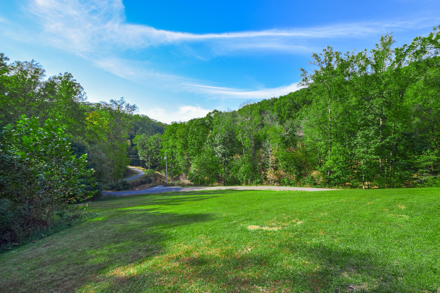 213 W Road Blue Ridge, VA 24064 - Photo 37 of 51 a view of yard with grass and a trees