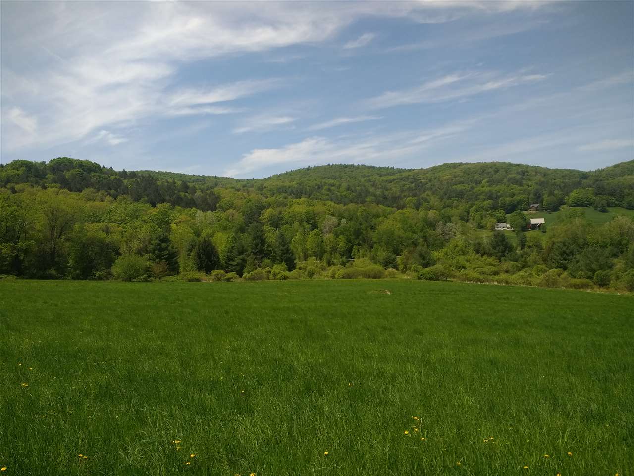 1700 Weatherhead Hollow Road Guilford, VT 05301 - Photo 1 of 17