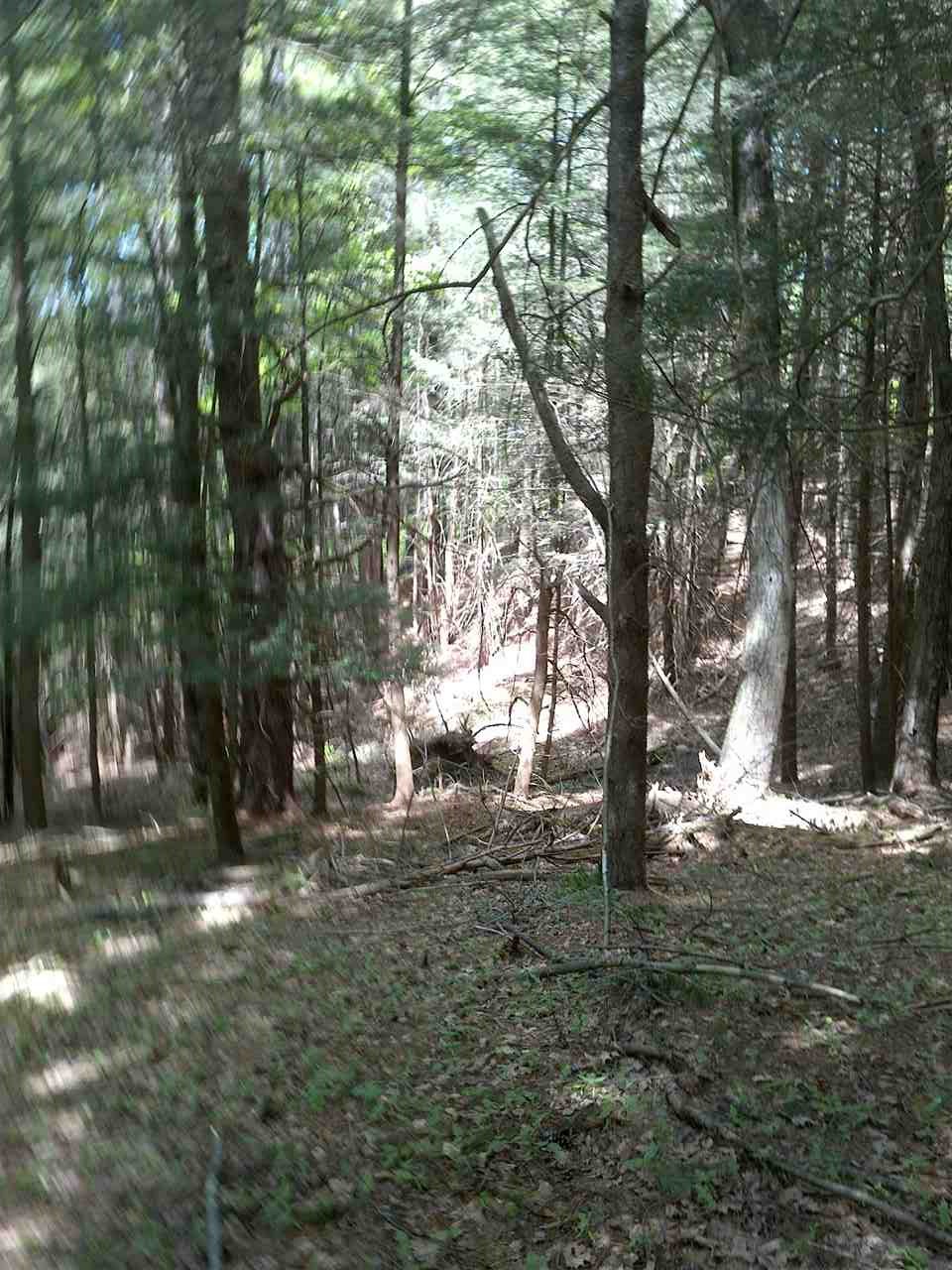 1700 Weatherhead Hollow Road Guilford, VT 05301 - Photo 12 of 17