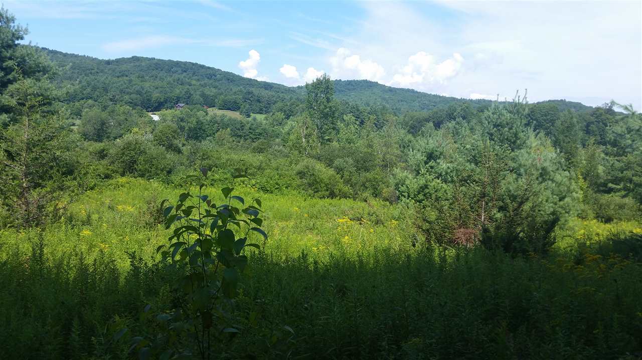 1700 Weatherhead Hollow Road Guilford, VT 05301 - Photo 14 of 17