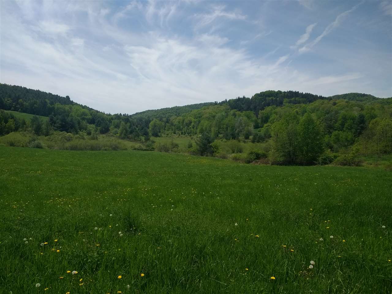1700 Weatherhead Hollow Road Guilford, VT 05301 - Photo 4 of 17