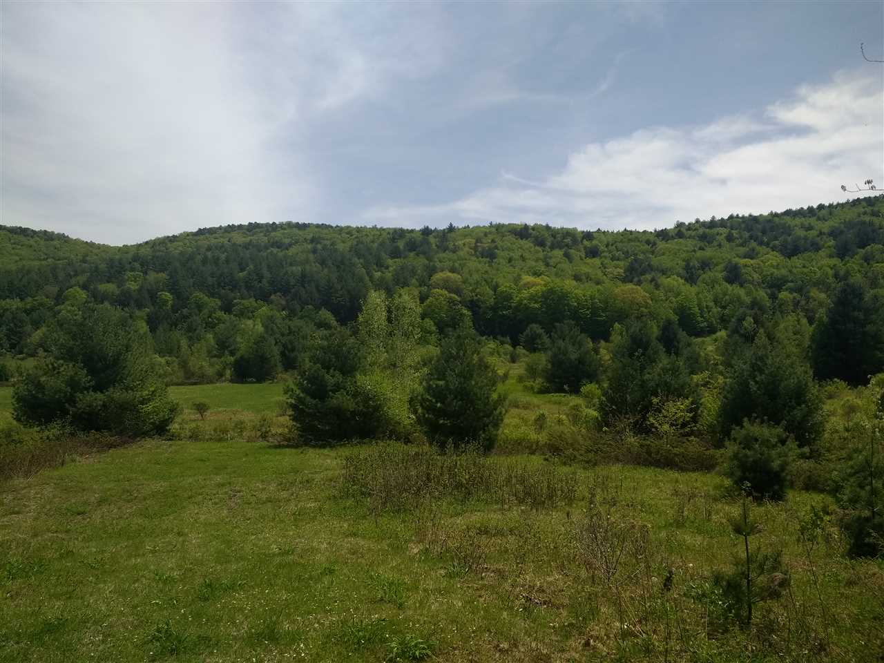 1700 Weatherhead Hollow Road Guilford, VT 05301 - Photo 5 of 17