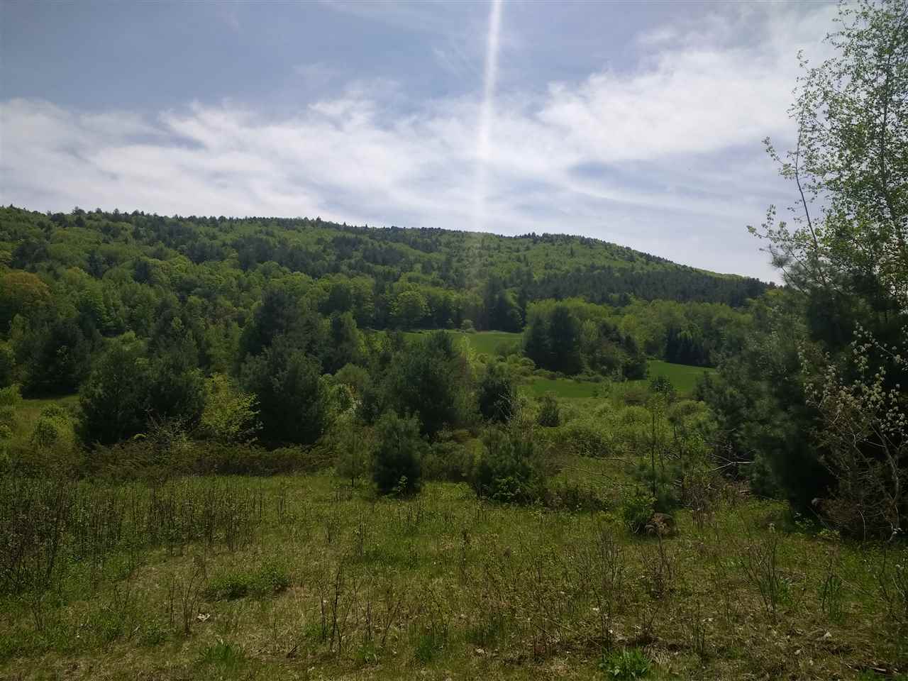 1700 Weatherhead Hollow Road Guilford, VT 05301 - Photo 6 of 17