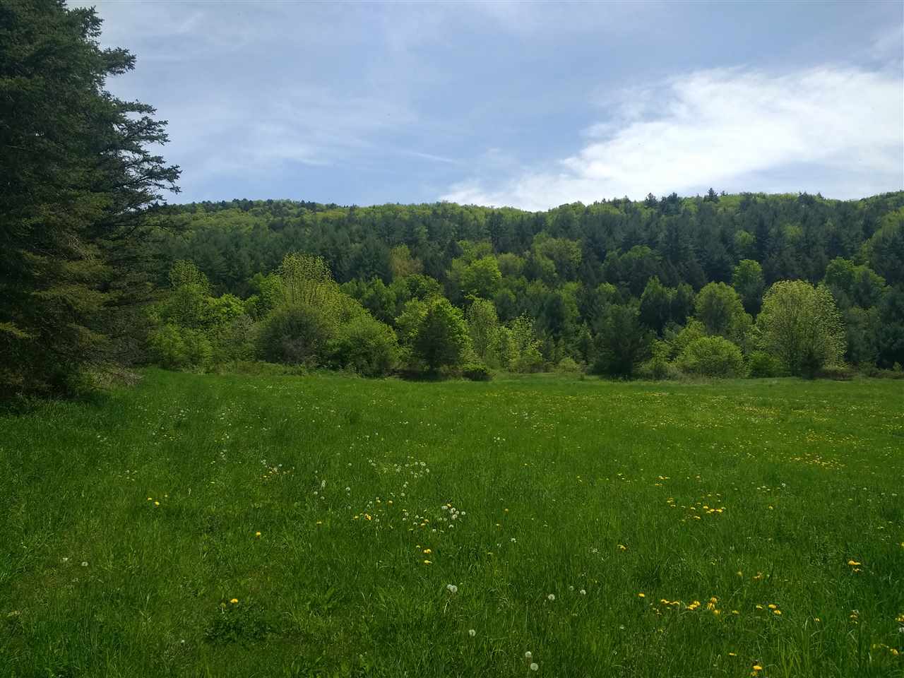 1700 Weatherhead Hollow Road Guilford, VT 05301 - Photo 7 of 17