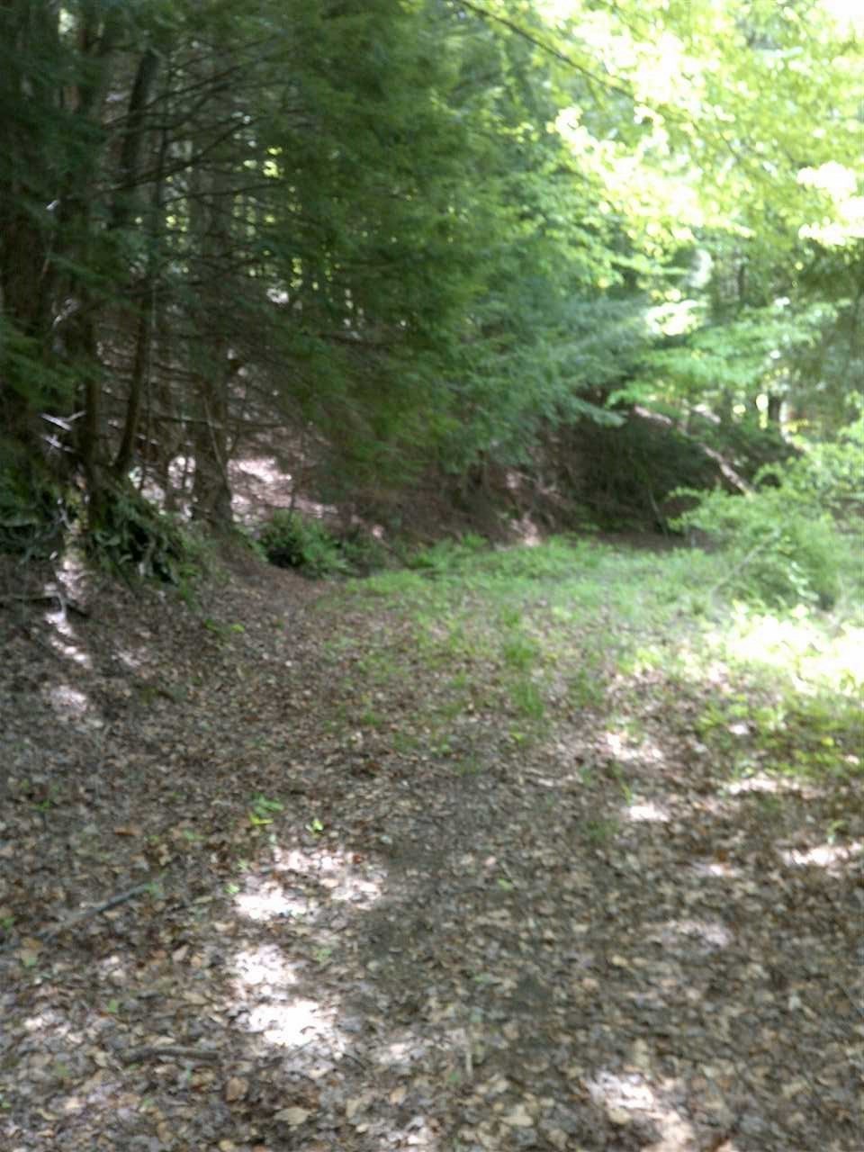 1700 Weatherhead Hollow Road Guilford, VT 05301 - Photo 8 of 17
