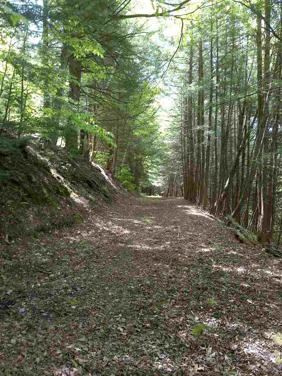 1700 Weatherhead Hollow Road Guilford, VT 05301 - Photo 9 of 17