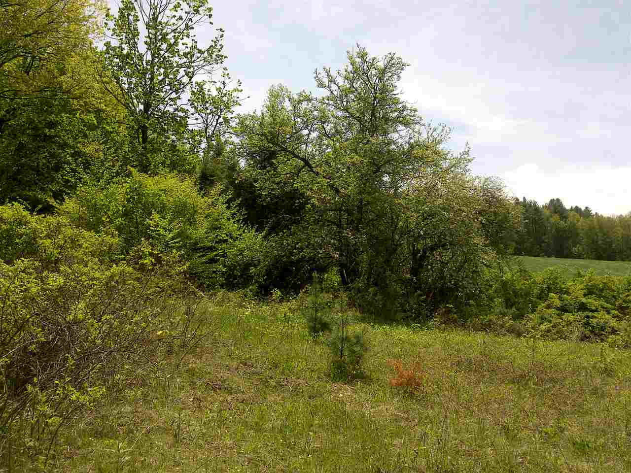 1700 Weatherhead Hollow Road Guilford, VT 05301 - Photo 10 of 17