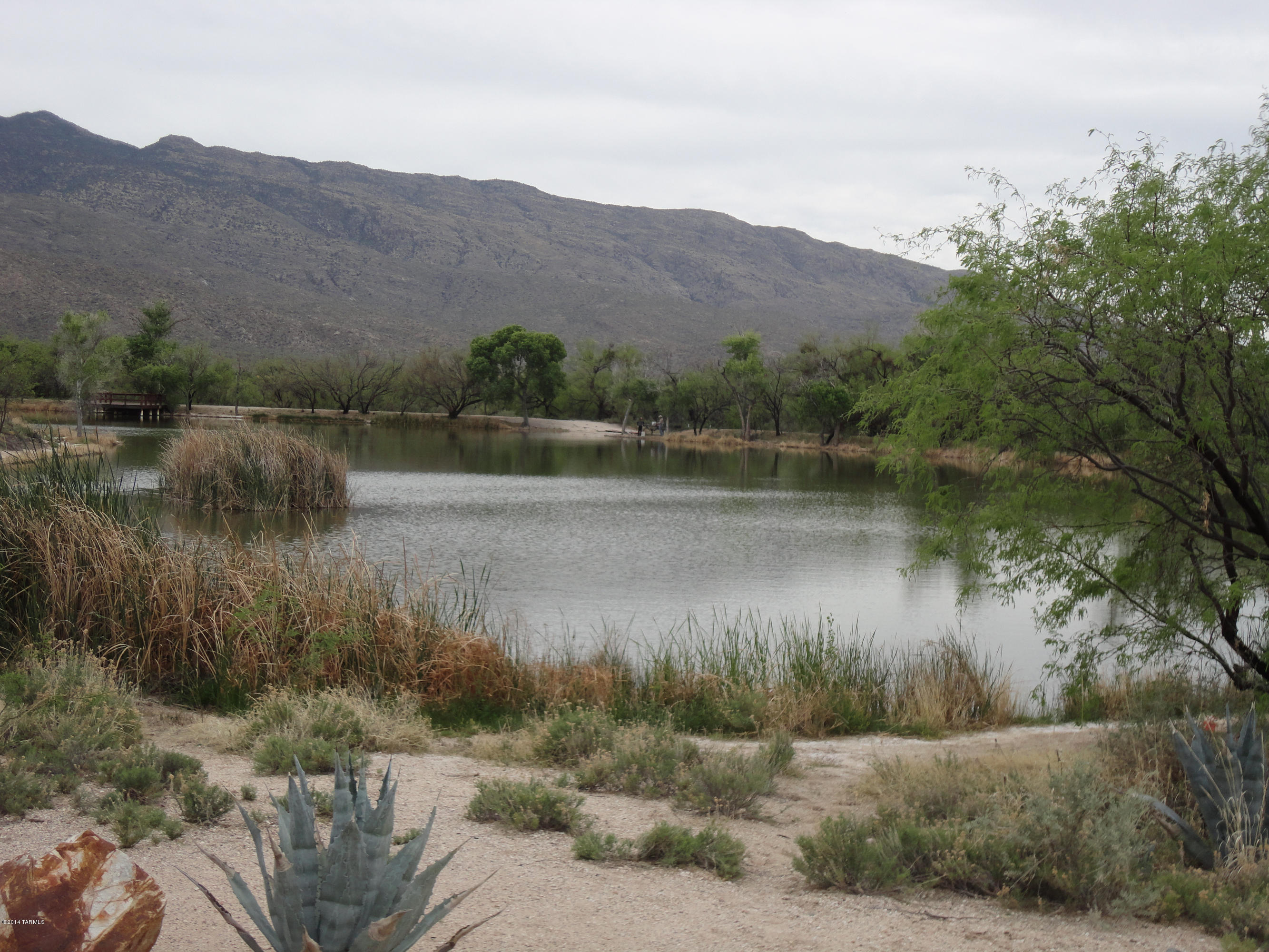 13790 East Redington Road Tucson, AZ 85749 - Photo 42 of 42