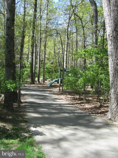 2044 Swans Neck Way Reston, VA 20191 - Photo 9 of 30 Stroll Along Lovely Walking Trail