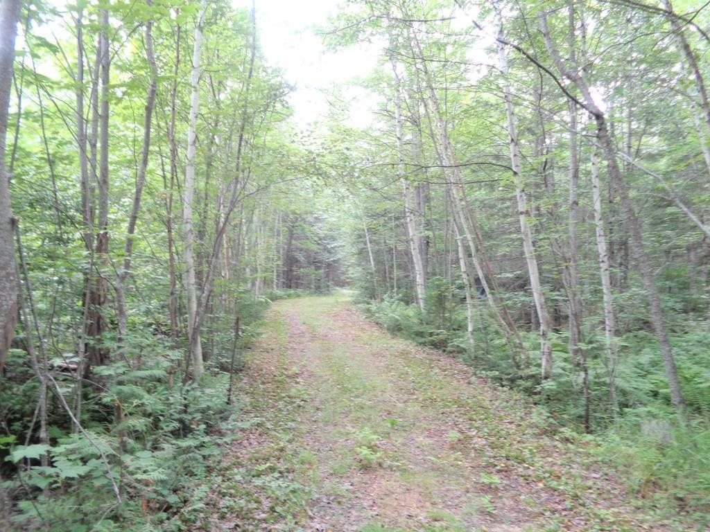 159 Baker Hill Road Strong, ME 04983 - Photo 34 of 35 trails leading to the ITS 84 Trail