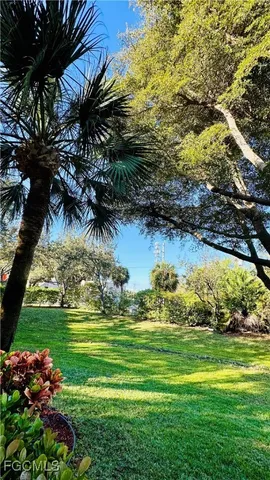 a view of a trees in a yard with lots of green space
