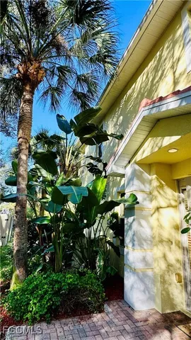 a picture of flowers