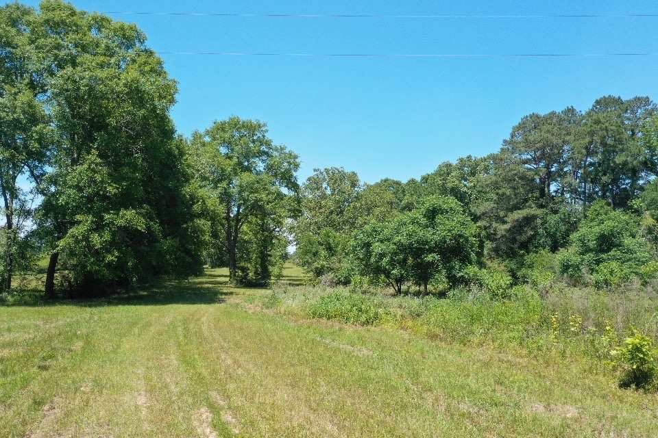 0 Jerusalem Church Road, Unit N/A Brandon, MS 39042 - Photo 1 of 1 Photo 1