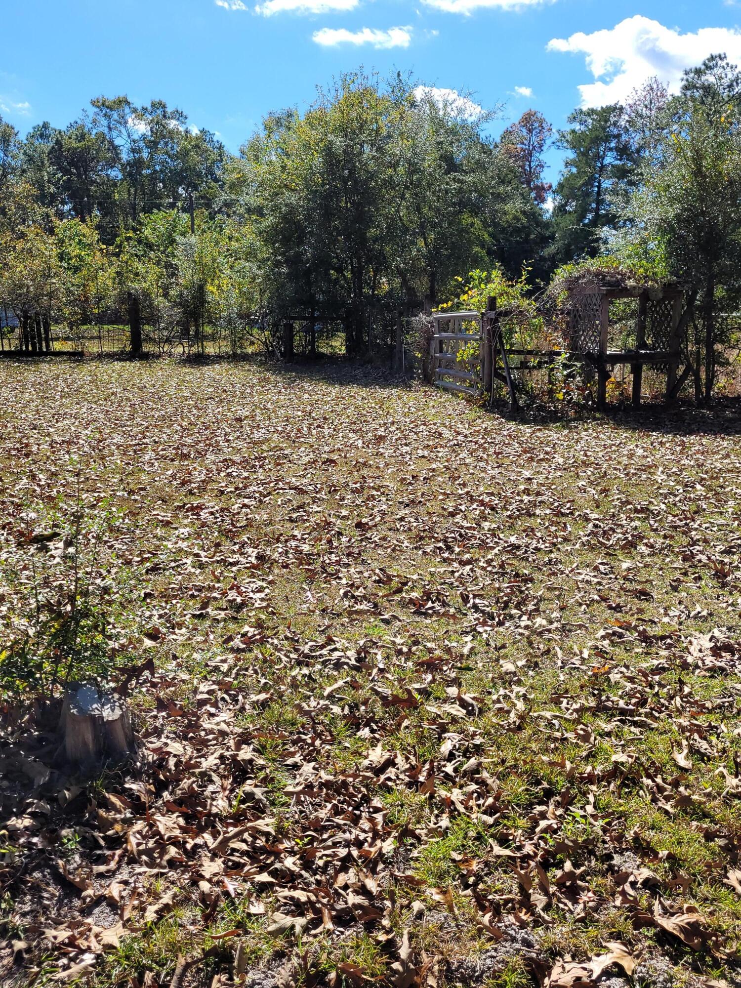 7363 Beaver Creek Road Baker, FL 32531 - Photo 16 of 29 a view of a yard with some trees in the background