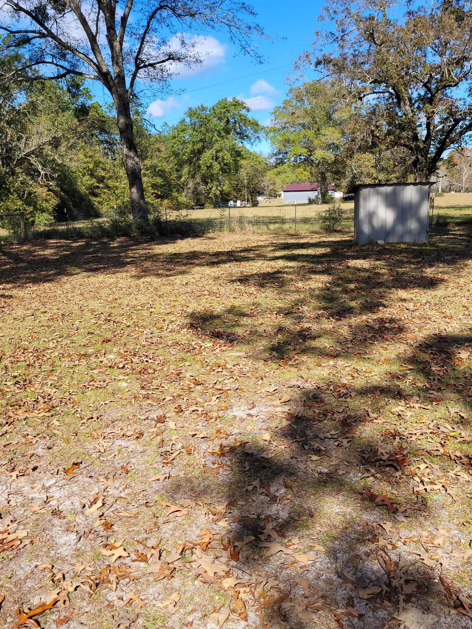 7363 Beaver Creek Road Baker, FL 32531 - Photo 17 of 29 a view of yard with large trees