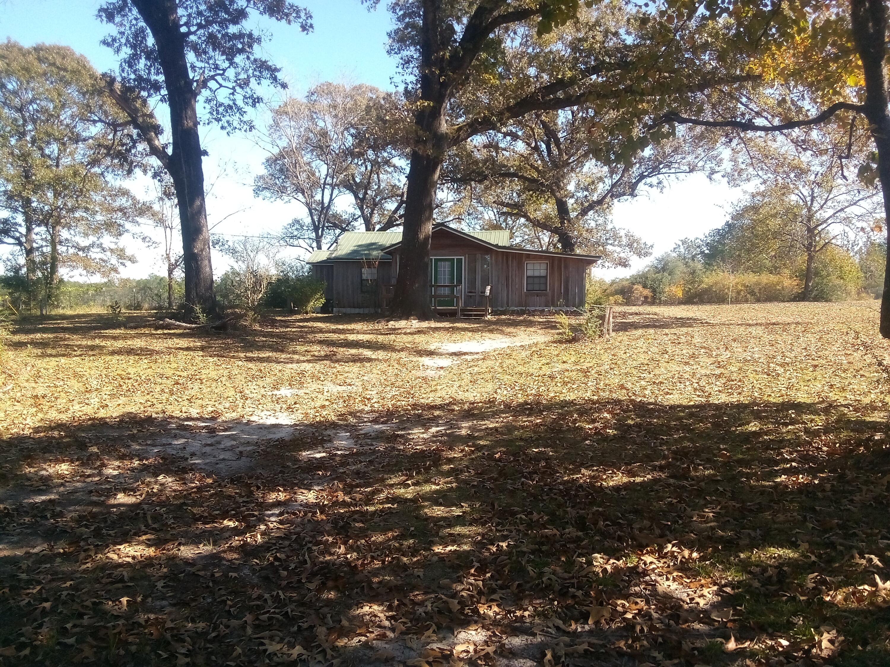7363 Beaver Creek Road Baker, FL 32531 - Photo 25 of 29 a view of a yard with a tree