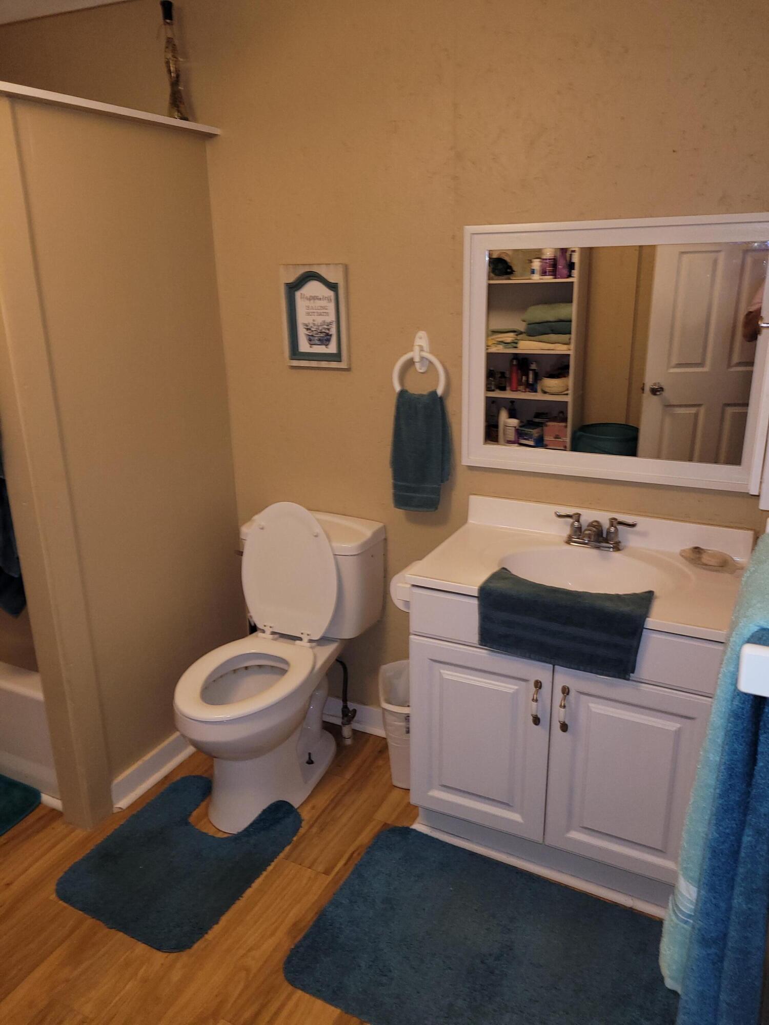 7363 Beaver Creek Road Baker, FL 32531 - Photo 10 of 29 a bathroom with a sink toilet and shower