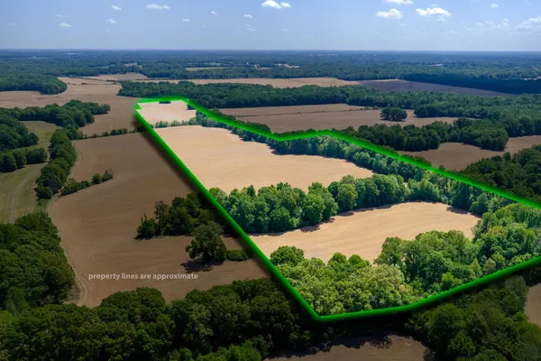 an aerial view of a