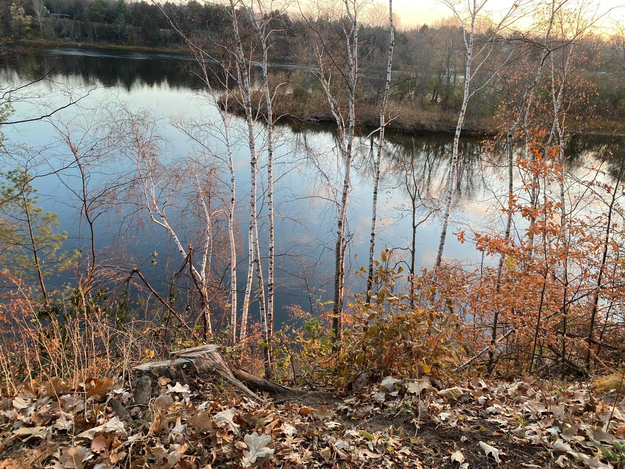 1 County Road 1 Rice, MN 56367 - Photo 15 of 24