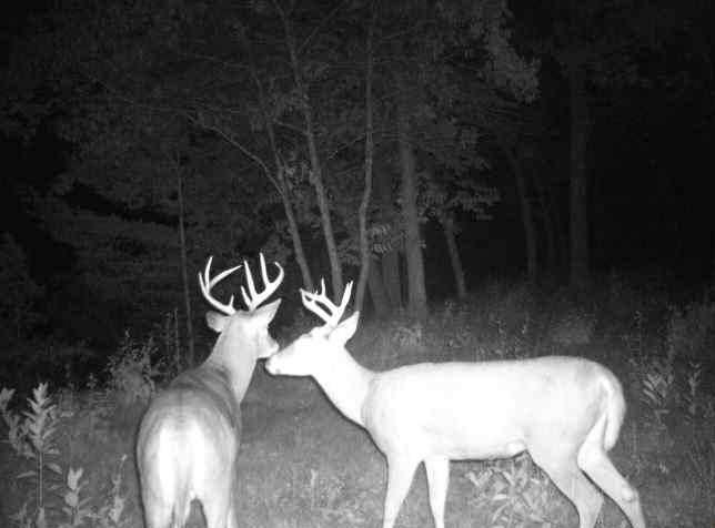 1 County Road 1 Rice, MN 56367 - Photo 22 of 24