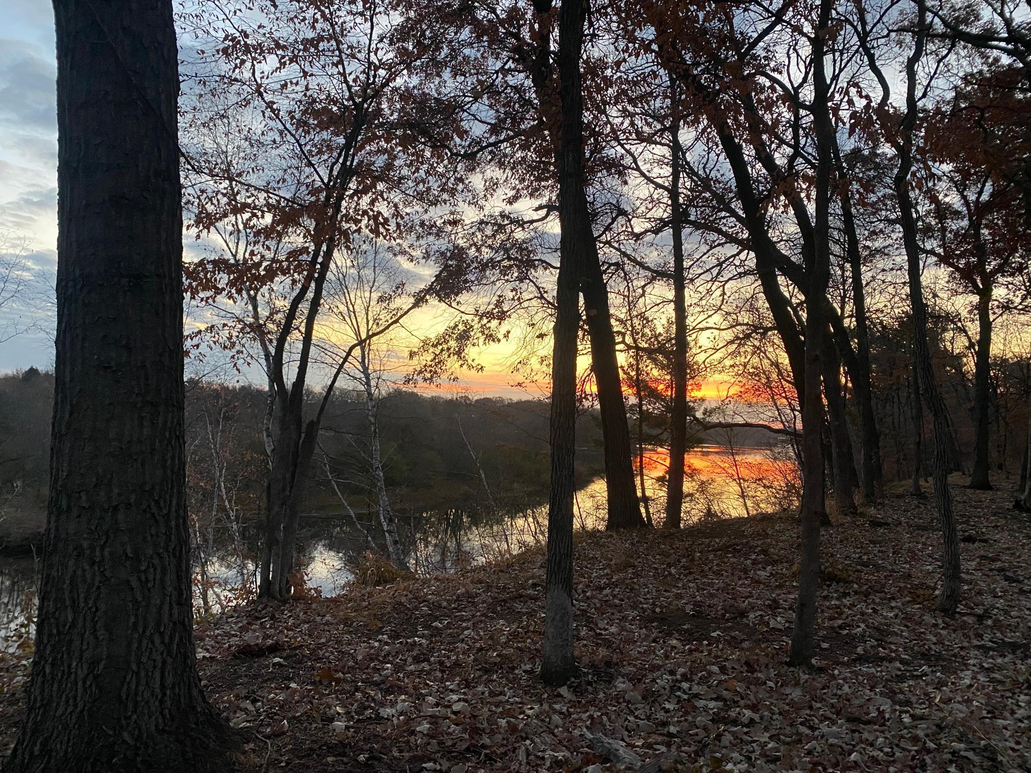 1 County Road 1 Rice, MN 56367 - Photo 4 of 24