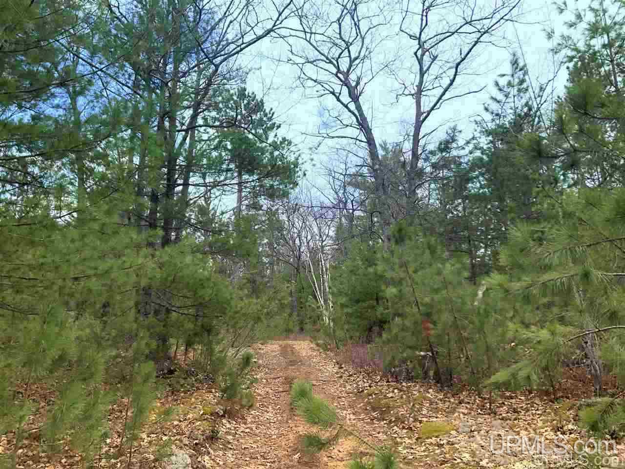 Tbd Valley Road Marquette, MI 49855 - Photo 35 of 59
