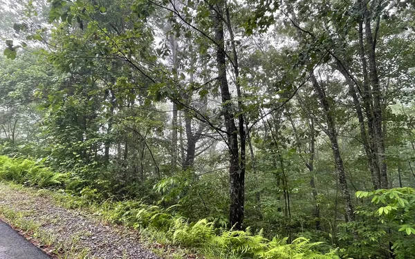 a view of a garden