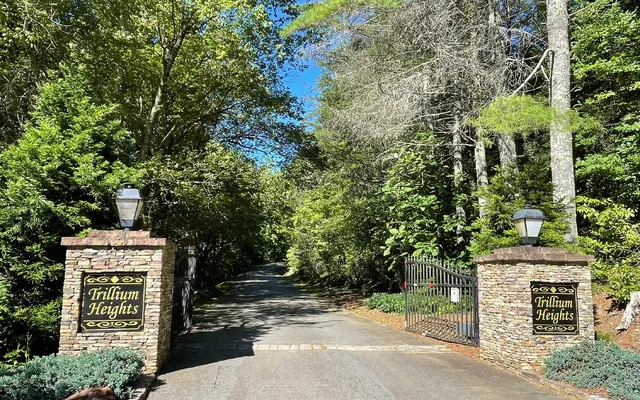 a garden view with a seating space