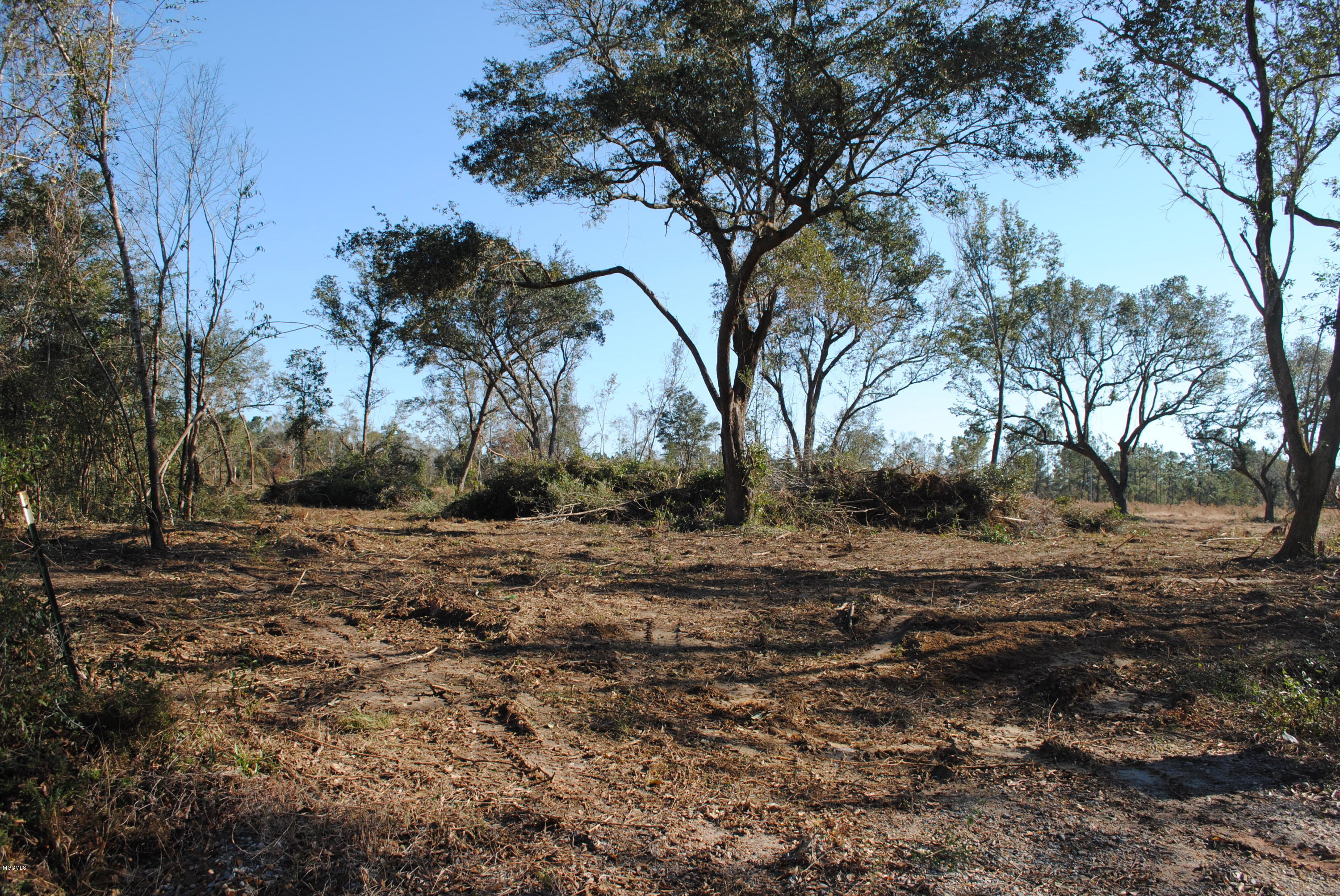0 Bernice Road Pass Christian, MS 39571 - Photo 1 of 8 DSC_0495