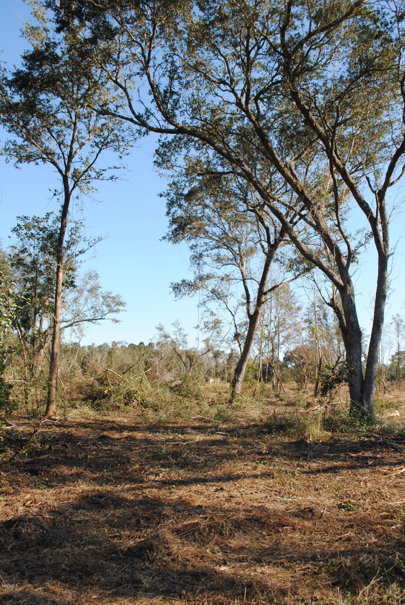 0 Bernice Road Pass Christian, MS 39571 - Photo 4 of 8 DSC_0497